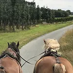 Familie Willems 3 * Winterberg