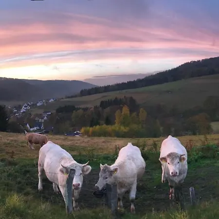 Apartmán Familie Willems 3