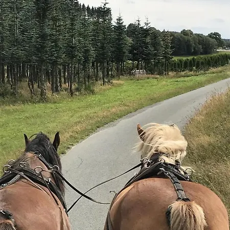 Familie Willems 3 * Winterberg