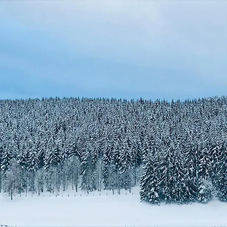 Familie Willems 3 Apartmán Winterberg
