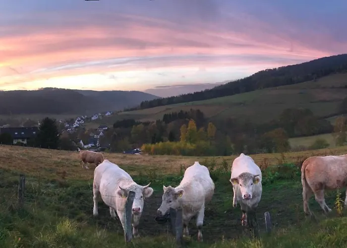 Appartement Familie Willems 3