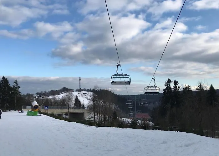 Familie Willems 3 Appartamento Winterberg