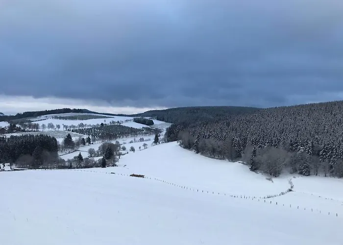 Familie Willems 3 Appartement Winterberg