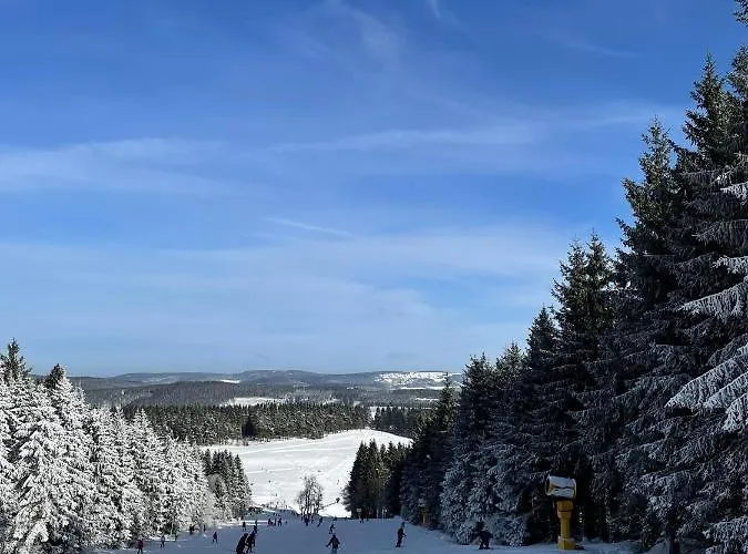 Appartement Familie Willems 3 Winterberg