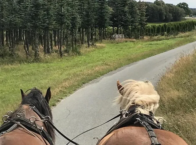 Familie Willems 3 * Winterberg