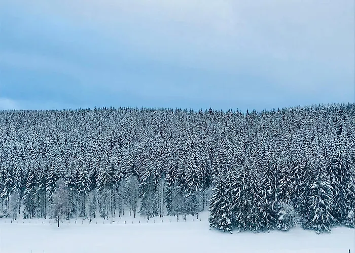 Familie Willems 3 Appartamento Winterberg